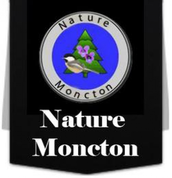 NATURE MONCTON FIELD TRIP TO THE MAPLETON ACADIAN FOREST TRAIL IN ELGIN